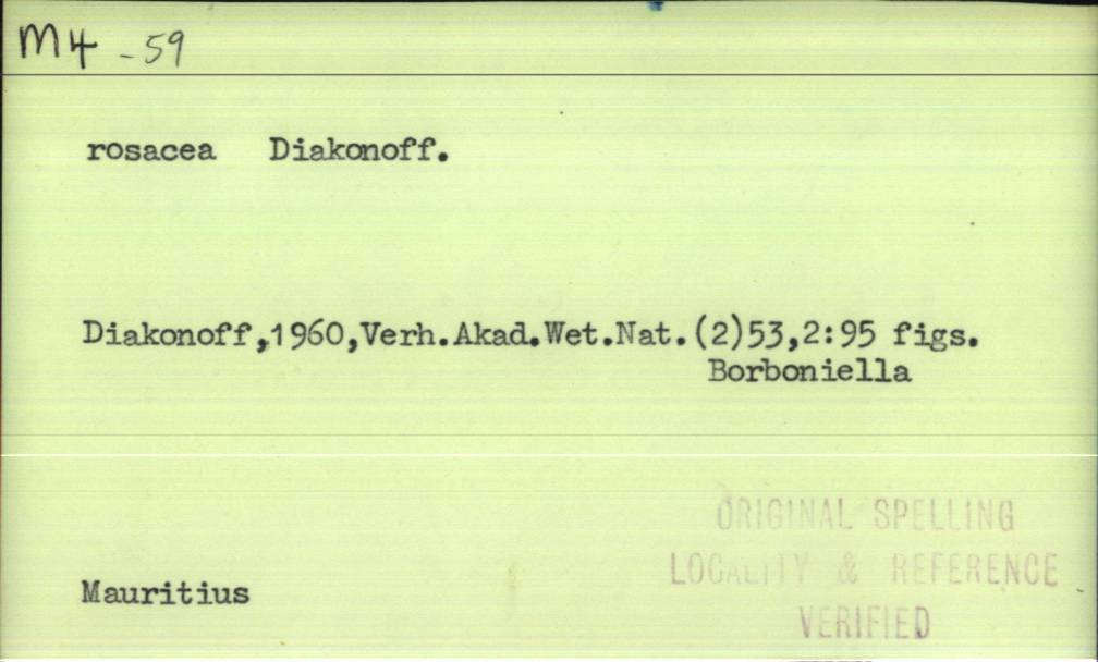 front of card
